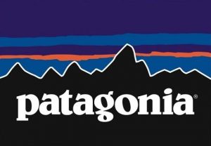 patagonia-logo